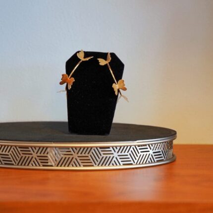 Glossy Resized photos 6