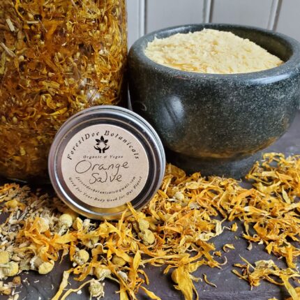 20230816 084653 1 scaled