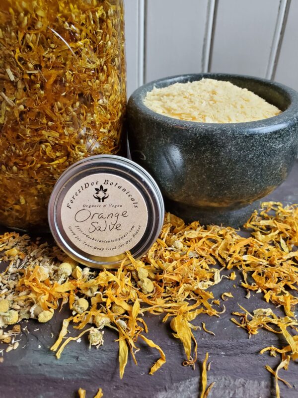 20230816 084653 1 scaled