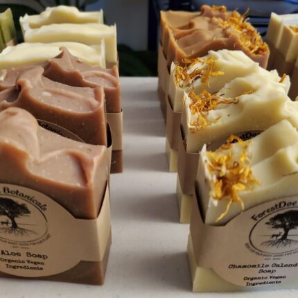 20230911 085049 scaled