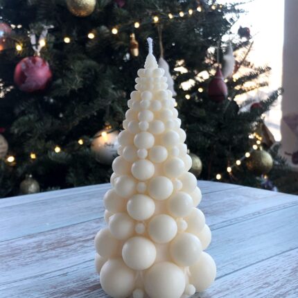 IMG 1059 copy scaled