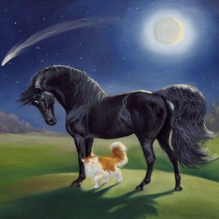 Magical Morgan Back Cover scaled