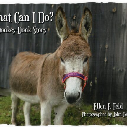 What Can I Do Cover 300dpi scaled