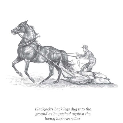 Annie Justin Morgan Class scaled