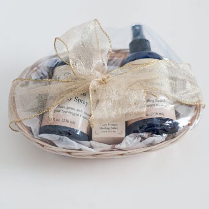 ECphotography 67 scaled