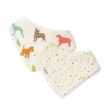 Cozy Newborn Bib Set